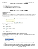 VARIABLE SECTION SWEEP