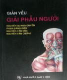 Giải phẫu học - Giản yếu giải phẫu người