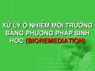 XỬ LÝ Ô NHIỄM MÔI TRƯỜNG BẰNG PHƯƠNG PHÁP SINH HỌC (BIOREMEDIATION)