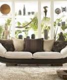 Ghế sofa hoa
