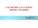 CÁC ĐƯỜNG CẮT CƠ BẢN TRONG SẢN KHOA