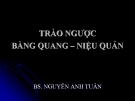 TRÀO NGƯỢC BÀNG QUANG – NIỆU QUẢN