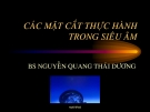 Các mặt cắt thực hành trong siêu âm