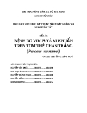 ĐỀ TÀI : BỆNH DO VIRUS VÀ VI KHUẨN TRÊN TÔM THẺ CHÂN TRẮNG (Penaeus vannamei)