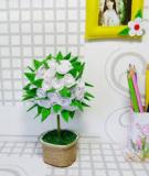 Chậu hoa vải xinh xắn cho căn phòng bừng sáng