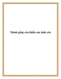 Mảnh ghép còn thiếu của tình yêu