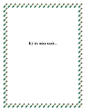 Truyện ngắn Ký ức màu xanh....