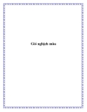 Truyện ngắn Gió nghịch mùa