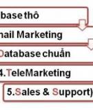 Quy trình tối đa hóa lợi nhuận từ Email Marketing