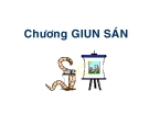 Bài giảng Giun sán