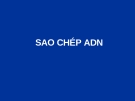 Sao chép ADN