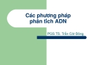 Các phương pháp phân tích ADN