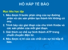 Bài giảng: HÔ HẤP TẾ BÀO