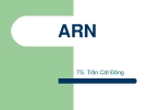 Bài giảng: ARN - TS. Trần Cát Đông