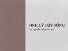 Sinh lý  Tủy sống