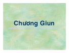 Bài giảng Giun xoắn