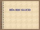 Đại cương hóa học Glucid