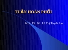 Bài giảng: Tuần hoàn phổi