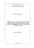 luận văn: NGHIÊN CỨU CẤU TRÚC CỦA ỐNG NANO CARBON DƯỚI TÁC ĐỘNG CỦA BỨC XẠ NĂNG LƯỢNG CAO ĐỊNH HƯỚNG ỨNG DỤNG TRONG MÔI TRƯỜNG VŨ TRỤ
