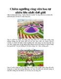 Chiêm ngưỡng công viên hoa tự nhiên lớn nhất thế giới