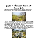 Quyến rũ sắc xuân Sấu Tây Hồ - Trung Quốc