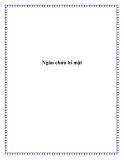 Ngăn chứa bí mật