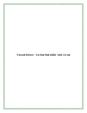 Unsent letters - Lá thư thứ nhất