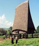 Bóng Kơnia Đổ Dài