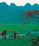 Bên Con Suối Nhỏ Chảy Sau Hè
