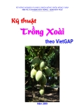 Kỹ thuật  Trồng Xoài theo VietGAP