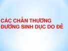 Chấn thương sinh dục sau đẻ