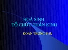 Bài giảng Hóa sinh tổ chức thần kinh - Đào Trọng Phụ