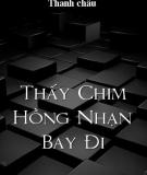 Thấy Chim Hồng Nhạn Bay Đi