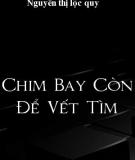 Chim Bay Còn Để Vết Tìm