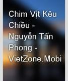 Chim Vịt Kêu Chiều