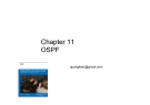 Chapter 11 OSPFquangkien@gmail.com.For further information This presentation is an overview of what is covered in the curriculum/book.  For further explanation and details, please read the chapter/curriculum.  Book: Routing Protocols and Concepts B