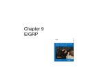 File Routing Protocols and Concepts: Chapter 3