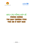 Báo cáo tổng hợp phòng chống tai nạn thương tích trẻ em ở Việt Nam