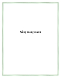 Nắng mong manh