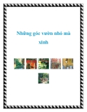 Những góc vườn nhỏ mà xinh