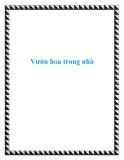 Vườn hoa trong nhà