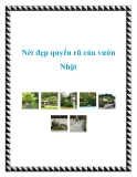 Nét đẹp quyến rũ của vườn Nhật