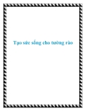 Tạo sức sống cho tường rào