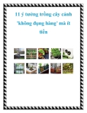 11 ý tưởng trồng cây cảnh 'không đụng hàng' mà ít tiền