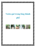 Vườn quê trong lòng thành phố