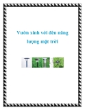 Vườn xinh với đèn năng lượng mặt trời