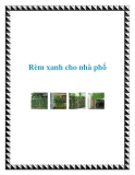 Rèm xanh cho nhà phố