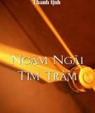 Ngậm Ngãi Tìm Trầm