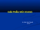 GIẢI PHẪU MŨI XOANG