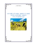 báo cáo: CƠ CHẾ GÂY ĐỘC ARSEN VÀ KHẢ NĂNG GIẢI ĐỘC ARSEN CỦA VI SINH VẬT